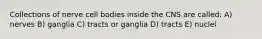 Collections of nerve cell bodies inside the CNS are called: A) nerves B) ganglia C) tracts or ganglia D) tracts E) nuclei