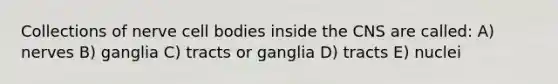 Collections of nerve cell bodies inside the CNS are called: A) nerves B) ganglia C) tracts or ganglia D) tracts E) nuclei