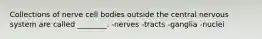 Collections of nerve cell bodies outside the central nervous system are called ________. -nerves -tracts -ganglia -nuclei