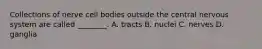 Collections of nerve cell bodies outside the central nervous system are called ________. A. tracts B. nuclei C. nerves D. ganglia