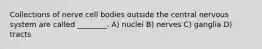 Collections of nerve cell bodies outside the central nervous system are called ________. A) nuclei B) nerves C) ganglia D) tracts