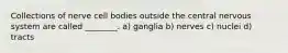 Collections of nerve cell bodies outside the central nervous system are called ________. a) ganglia b) nerves c) nuclei d) tracts
