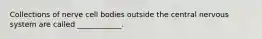 Collections of nerve cell bodies outside the central nervous system are called ____________.