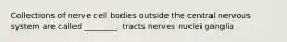 Collections of nerve cell bodies outside the central nervous system are called ________. tracts nerves nuclei ganglia