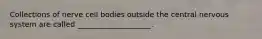 Collections of nerve cell bodies outside the central nervous system are called ____________________.