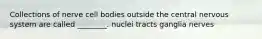 Collections of nerve cell bodies outside the central nervous system are called ________. nuclei tracts ganglia nerves