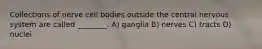 Collections of nerve cell bodies outside the central nervous system are called ________. A) ganglia B) nerves C) tracts D) nuclei