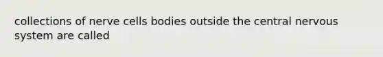 collections of nerve cells bodies outside the central nervous system are called