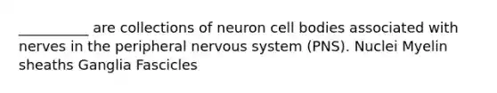 __________ are collections of neuron cell bodies associated with nerves in the peripheral nervous system (PNS). Nuclei Myelin sheaths Ganglia Fascicles