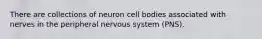 There are collections of neuron cell bodies associated with nerves in the peripheral nervous system (PNS).