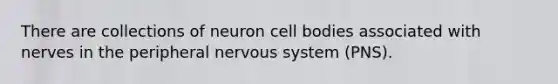 There are collections of neuron cell bodies associated with nerves in the peripheral <a href='https://www.questionai.com/knowledge/kThdVqrsqy-nervous-system' class='anchor-knowledge'>nervous system</a> (PNS).