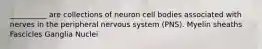 __________ are collections of neuron cell bodies associated with nerves in the peripheral nervous system (PNS). Myelin sheaths Fascicles Ganglia Nuclei