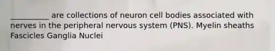 __________ are collections of neuron cell bodies associated with nerves in the peripheral nervous system (PNS). Myelin sheaths Fascicles Ganglia Nuclei