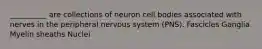 __________ are collections of neuron cell bodies associated with nerves in the peripheral nervous system (PNS). Fascicles Ganglia Myelin sheaths Nuclei