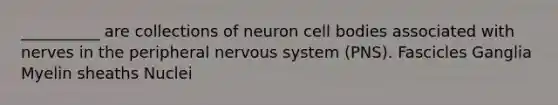 __________ are collections of neuron cell bodies associated with nerves in the peripheral nervous system (PNS). Fascicles Ganglia Myelin sheaths Nuclei