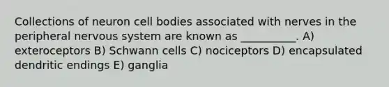 Collections of neuron cell bodies associated with nerves in the peripheral <a href='https://www.questionai.com/knowledge/kThdVqrsqy-nervous-system' class='anchor-knowledge'>nervous system</a> are known as __________. A) exteroceptors B) Schwann cells C) nociceptors D) encapsulated dendritic endings E) ganglia