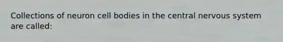 Collections of neuron cell bodies in the central nervous system are called: