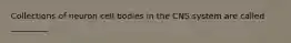 Collections of neuron cell bodies in the CNS system are called _________.