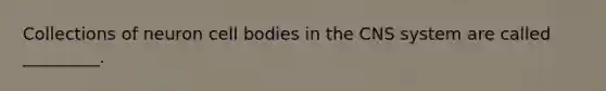 Collections of neuron cell bodies in the CNS system are called _________.