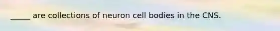 _____ are collections of neuron cell bodies in the CNS.