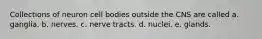 Collections of neuron cell bodies outside the CNS are called a. ganglia. b. nerves. c. nerve tracts. d. nuclei. e. glands.