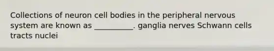 Collections of neuron cell bodies in the peripheral nervous system are known as __________. ganglia nerves Schwann cells tracts nuclei