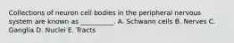 Collections of neuron cell bodies in the peripheral nervous system are known as __________. A. Schwann cells B. Nerves C. Ganglia D. Nuclei E. Tracts