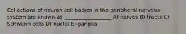 Collections of neuron cell bodies in the peripheral nervous system are known as __________________ A) nerves B) tracts C) Schwann cells D) nuclei E) ganglia