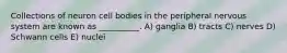 Collections of neuron cell bodies in the peripheral nervous system are known as __________. A) ganglia B) tracts C) nerves D) Schwann cells E) nuclei