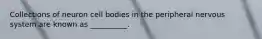 Collections of neuron cell bodies in the peripheral nervous system are known as __________.