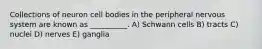 Collections of neuron cell bodies in the peripheral nervous system are known as __________. A) Schwann cells B) tracts C) nuclei D) nerves E) ganglia