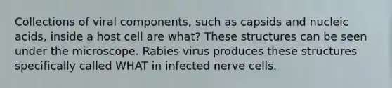 Collections of viral components, such as capsids and nucleic acids, inside a host cell are what? These structures can be seen under the microscope. Rabies virus produces these structures specifically called WHAT in infected nerve cells.