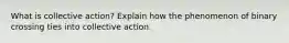 What is collective action? Explain how the phenomenon of binary crossing ties into collective action.