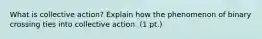 What is collective action? Explain how the phenomenon of binary crossing ties into collective action. (1 pt.)