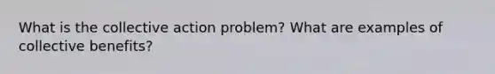 What is the collective action problem? What are examples of collective benefits?