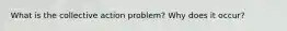 What is the collective action problem? Why does it occur?