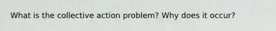 What is the collective action problem? Why does it occur?