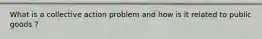 What is a collective action problem and how is it related to public goods ?
