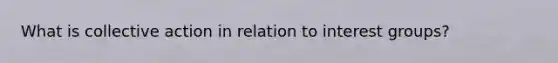 What is collective action in relation to interest groups?