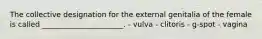 The collective designation for the external genitalia of the female is called ______________________. - vulva - clitoris - g-spot - vagina