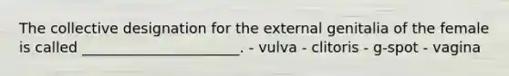 The collective designation for the external genitalia of the female is called ______________________. - vulva - clitoris - g-spot - vagina