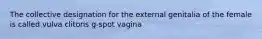 The collective designation for the external genitalia of the female is called vulva clitoris g-spot vagina