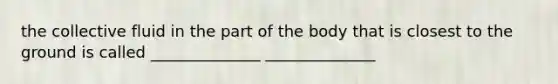 the collective fluid in the part of the body that is closest to the ground is called ______________ ______________