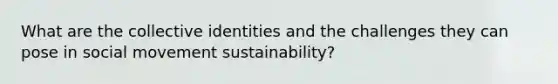 What are the collective identities and the challenges they can pose in social movement sustainability?