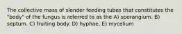 The collective mass of slender feeding tubes that constitutes the "body" of the fungus is referred to as the A) sporangium. B) septum. C) fruiting body. D) hyphae. E) mycelium