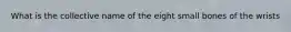 What is the collective name of the eight small bones of the wrists