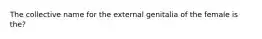 The collective name for the external genitalia of the female is the?