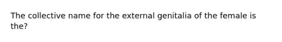 The collective name for the external genitalia of the female is the?