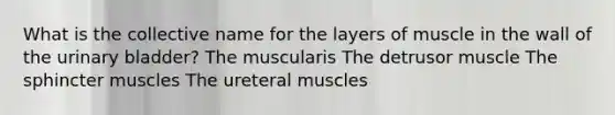 What is the collective name for the layers of muscle in the wall of the urinary bladder? The muscularis The detrusor muscle The sphincter muscles The ureteral muscles