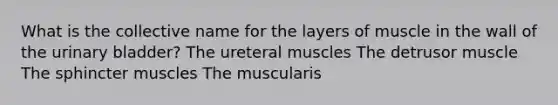 What is the collective name for the layers of muscle in the wall of the urinary bladder? The ureteral muscles The detrusor muscle The sphincter muscles The muscularis